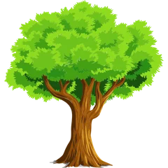 3D Tree